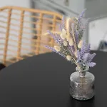Geronti Moscha * Απολλωνία