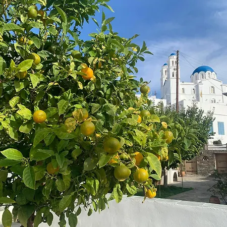 Geronti Moscha Daire