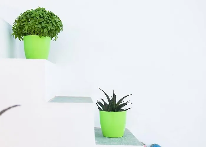 Appartement Geronti Moscha *