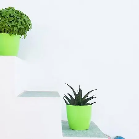 Διαμέρισμα Geronti Moscha *