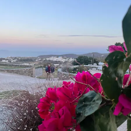 Διαμέρισμα Geronti Moscha