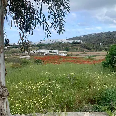 Geronti Moscha Διαμέρισμα