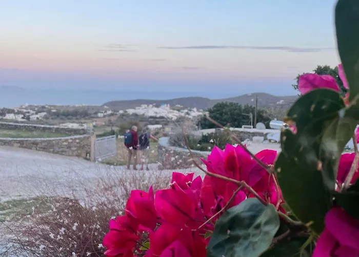 Apartament Geronti Moscha